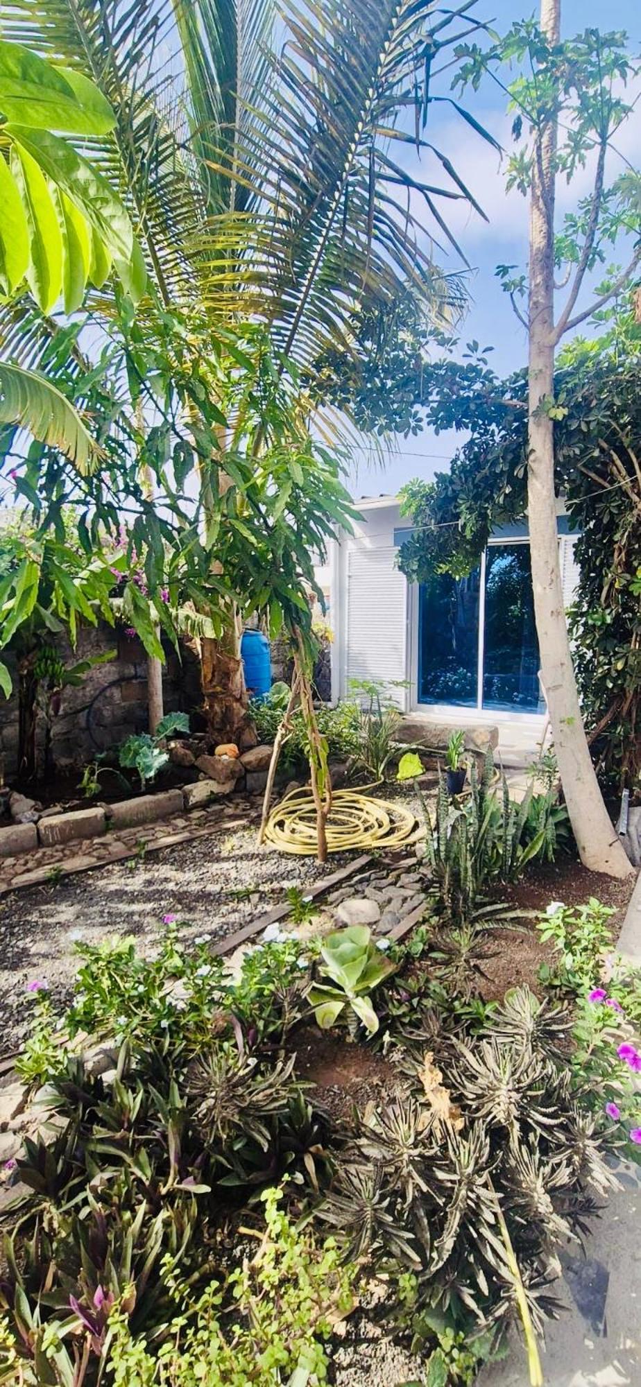 Apartamento Casa Chiquinha Ribeira da Prata Exterior foto