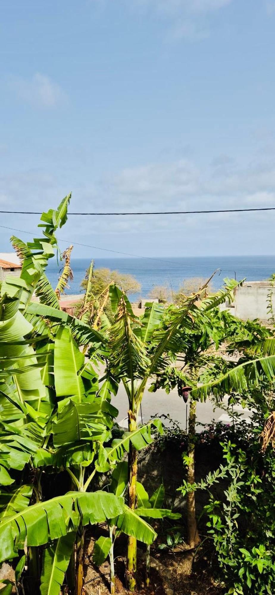 Apartamento Casa Chiquinha Ribeira da Prata Exterior foto
