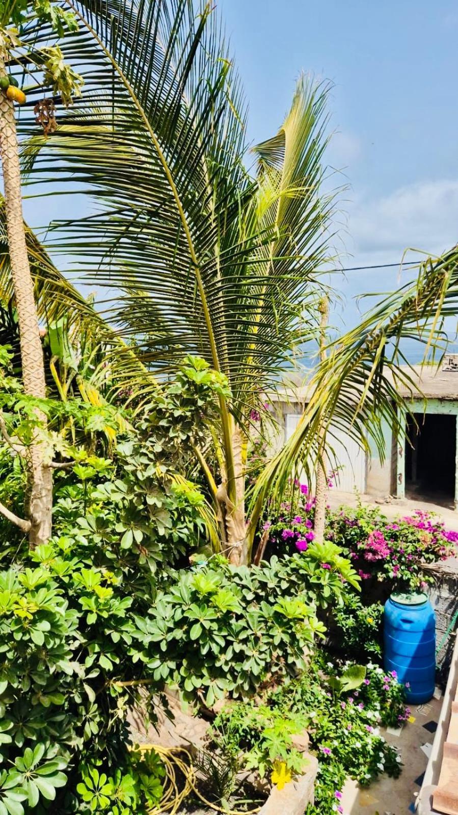 Apartamento Casa Chiquinha Ribeira da Prata Exterior foto